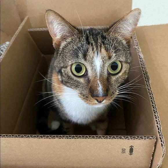 Meet your Posher, Jennifer - Picture 1 of 1